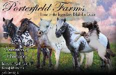 Click image to visit Porterfield Farms Stallion Showcase