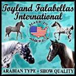 Toyland Falabellas International Spotlight Farm